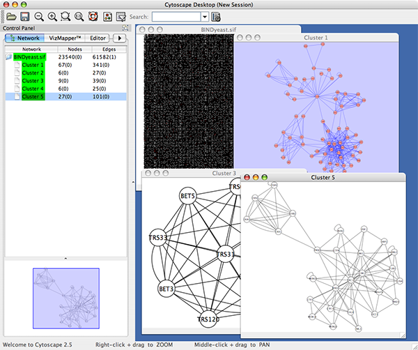 attachment:cytoscape_network_hierarchy_25.png