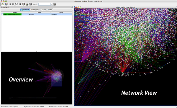 attachment:network_overview_25.png
