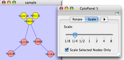 attachment:scale_networkB.png